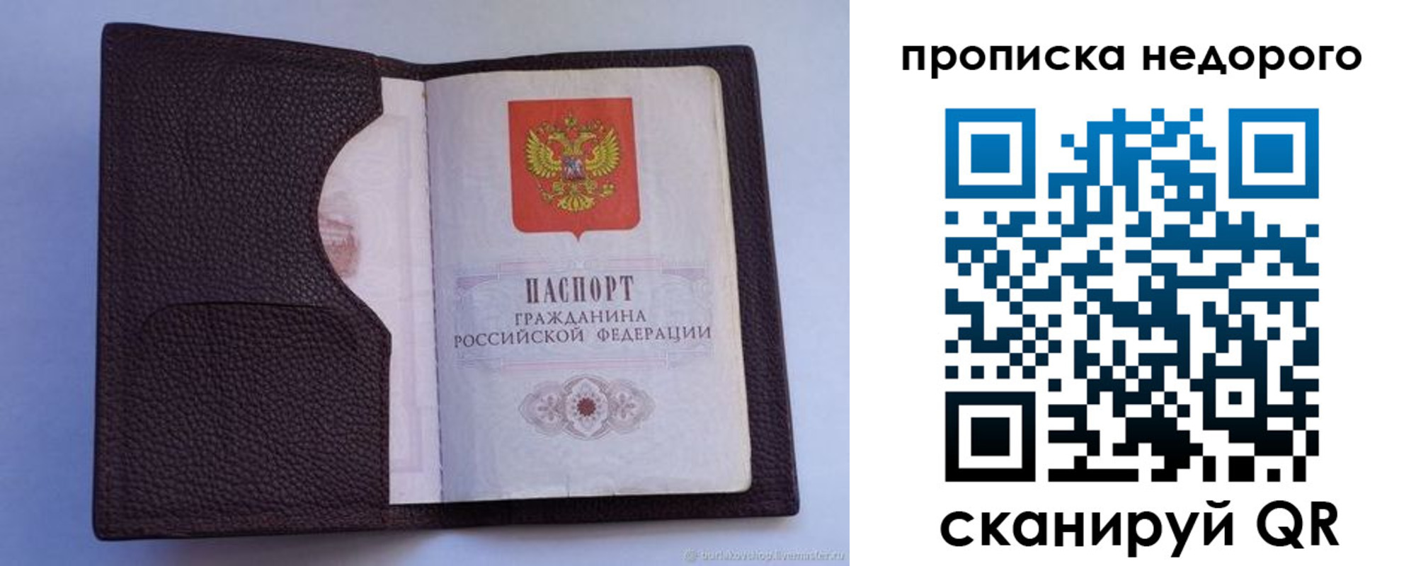 прописка законно в Сертолово